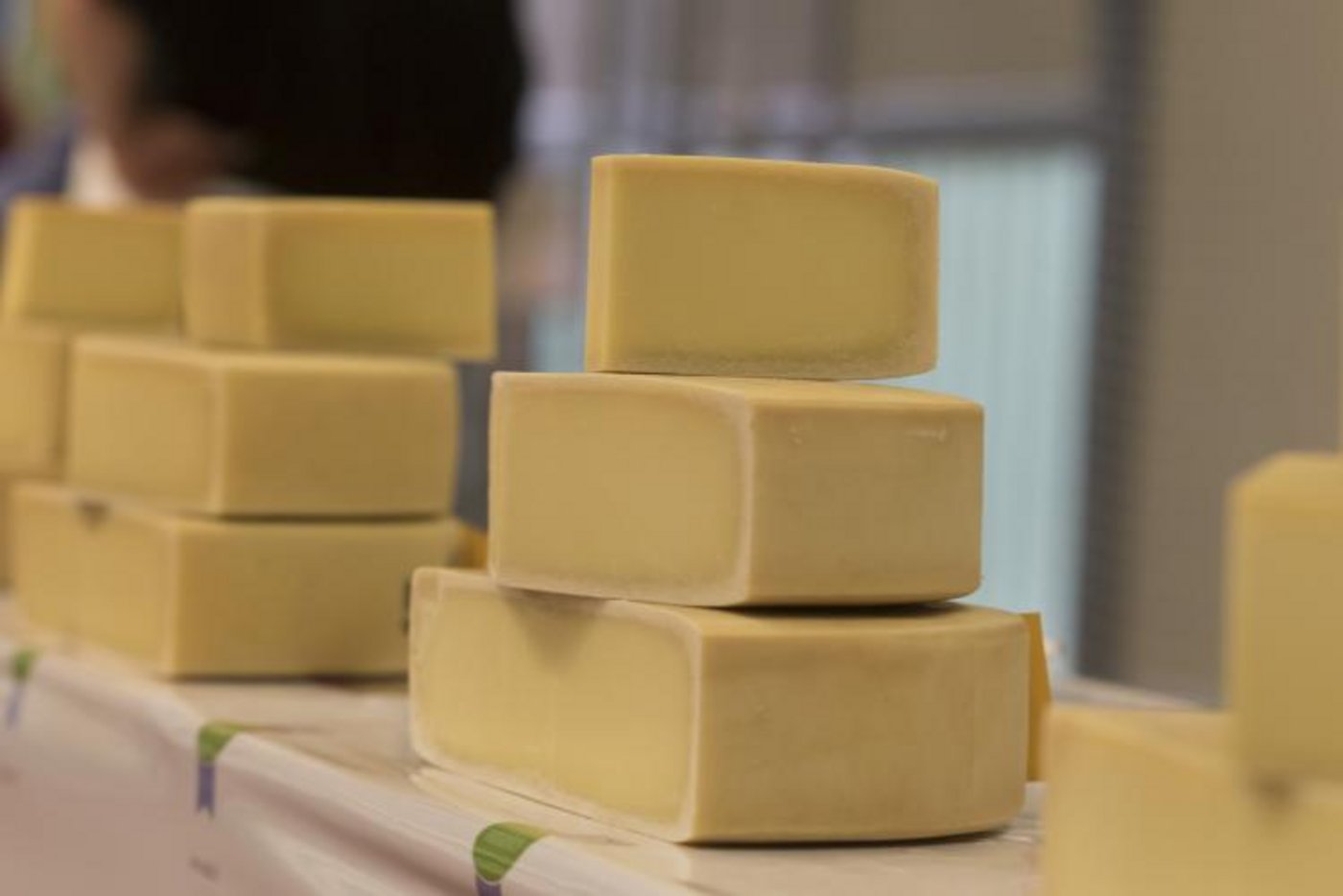 Alp Steistoos. (Bild Jessica und Raphael Rinnerthaler)