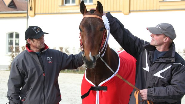 Nax hat alle hinter sich gelassen. Er gewinnt den Stationstest der Freibergerhengste. Neben Nax stehen Pierre-André und Dominique Odiet. (Bild Bernadette Odiet) 