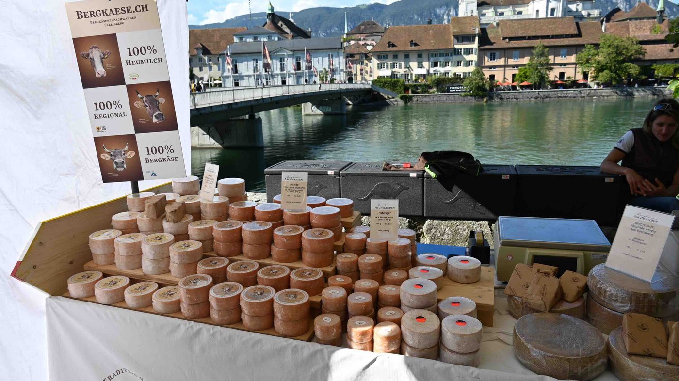 An fast 40 Ständen gab es eine Vielzahl an Käsesorten und noch viel mehr zu kaufen. 