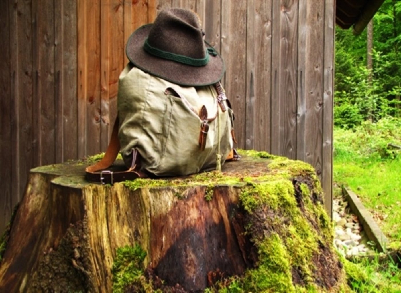 Die Jagd im grössten Kanton ist mit Abstand auch die grösste in der Schweiz. (Symbolbild Rainer Sturm / pixelio.de) 