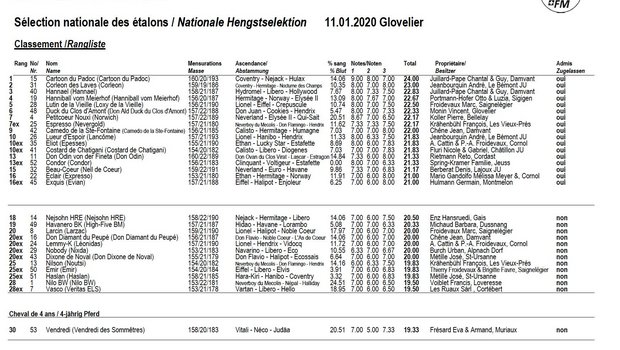 Rangliste der nationalen Hengstselektion der Freibergerpferde in Glovelier 2020. (Bild Screenshot)