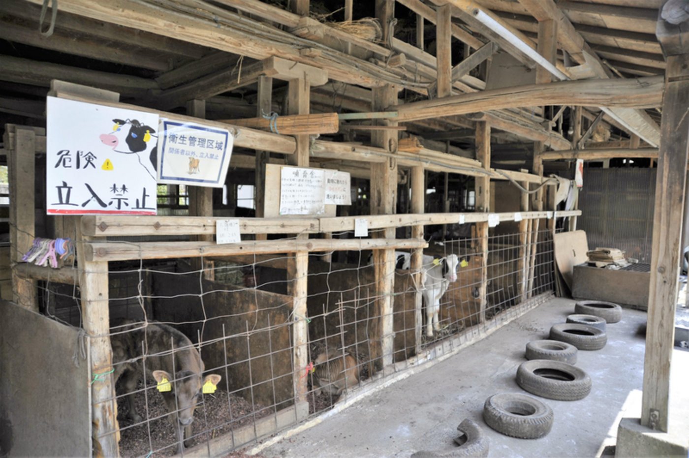 Die Schilder informieren Besucherinnen und Besucher über die Milchproduktion und die Tierhaltung.