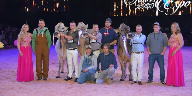 Die Championwahl (v. r. n. l.): Plattenbach BS Glenny Gina von Peter und Fabian Betschard und Plattenbachs Cows aus Muotathal SZ; Reserve wurde Alino Blena von Tom und Noe Salzgeber aus Pany GR. Mention Honorable wurde Jongleur Wendy von der WTS-Genetics aus Menznau LU. (Bilder Peter Fankhauser)