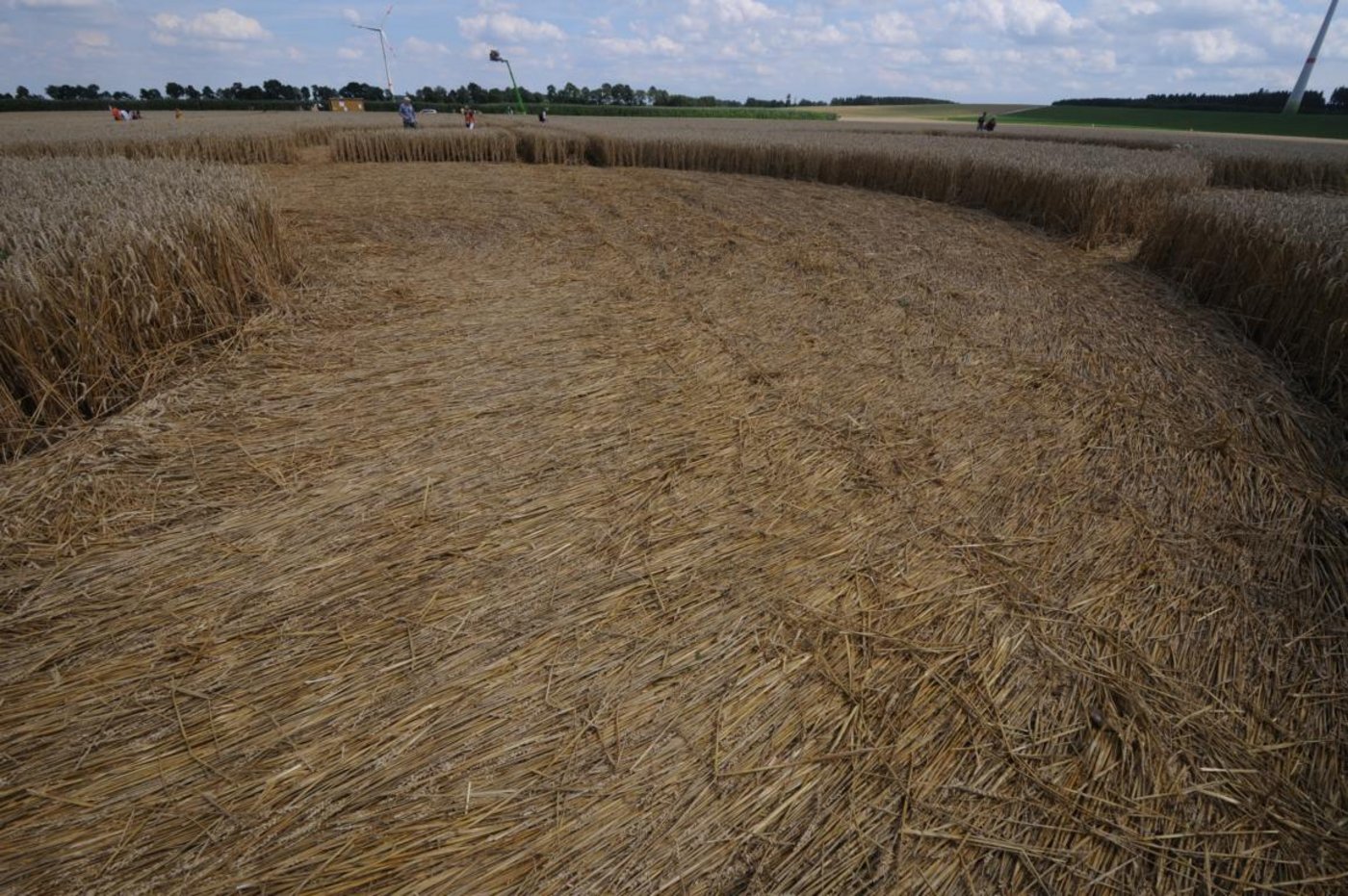 Einige Menschen glauben, dass Kornkreise wie dieser von Ausserirdischen gemacht werden. 