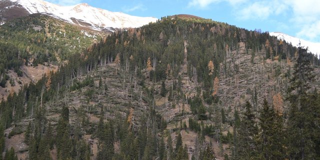 Die Stürme «Burglind» und  «Vaia» haben im Kanton Graubünden grossflächig Schäden hinterlassen.  (Bild Amt für Wald und Naturgefahren) 