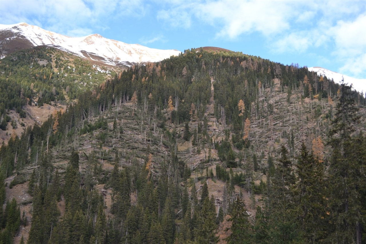 Die Stürme «Burglind» und «Vaia» haben im Kanton Graubünden grossflächig Schäden hinterlassen. (Bild Amt für Wald und Naturgefahren) 