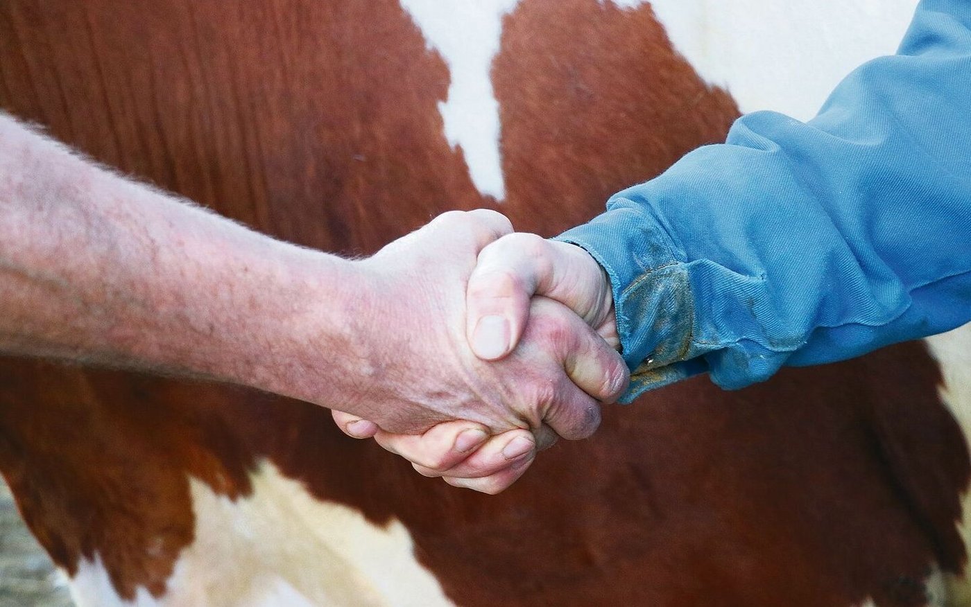 Eine ausserfamiliäre Hofübergabe bedingt viel Vertrauen, und auch viele Abklärungen. 