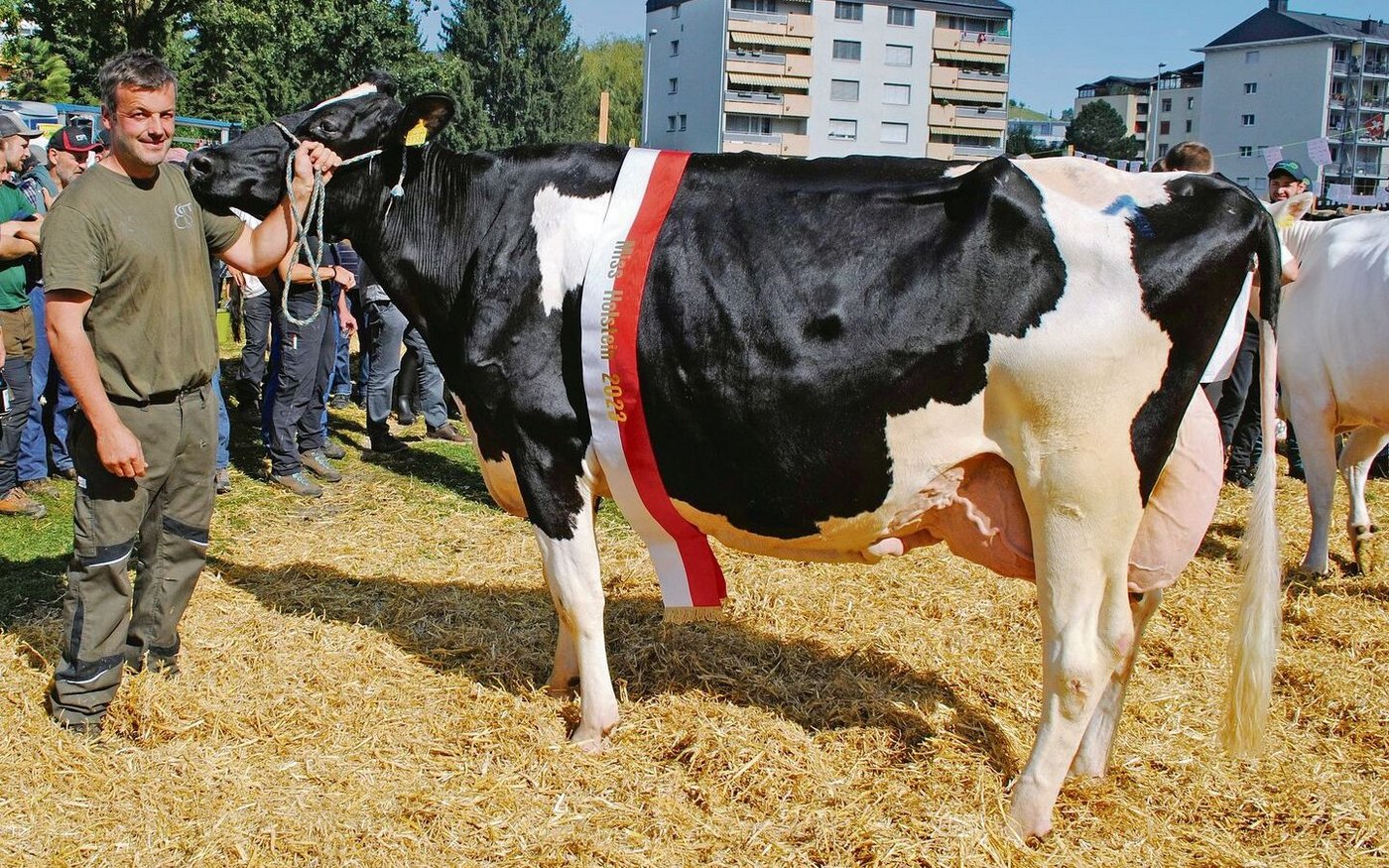 Atwood Talassa von Beat von Rickenbach, Steinerberg, wurde in Küssnacht zur Miss der Holsteinkühe gekürt.