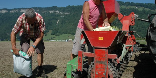 Futterbauversuch in Buochs, Nidwalden. (Bild aem)