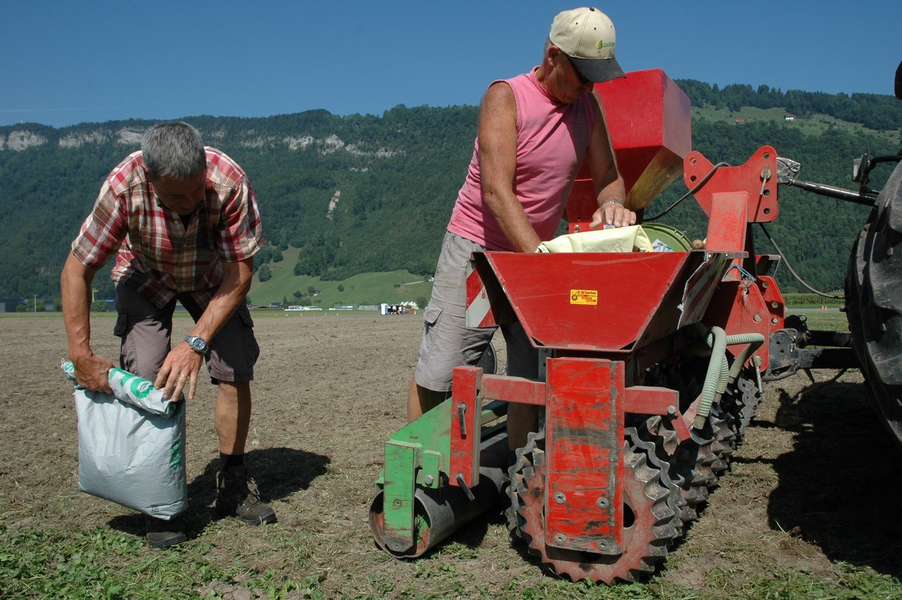 Futterbauversuch in Buochs, Nidwalden. (Bild aem)
