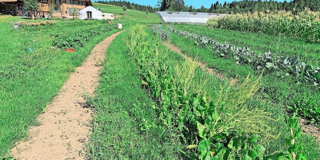 Auf dem Katzhof in Richenthal wurde die Kulturlandschaft neu gestaltet, um das Wasser zu lenken und optimal zu nutzen. 