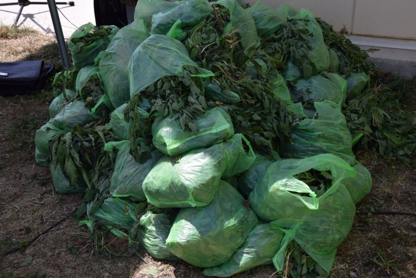 … einiges zusammen. Zu gewinnen gab es ...