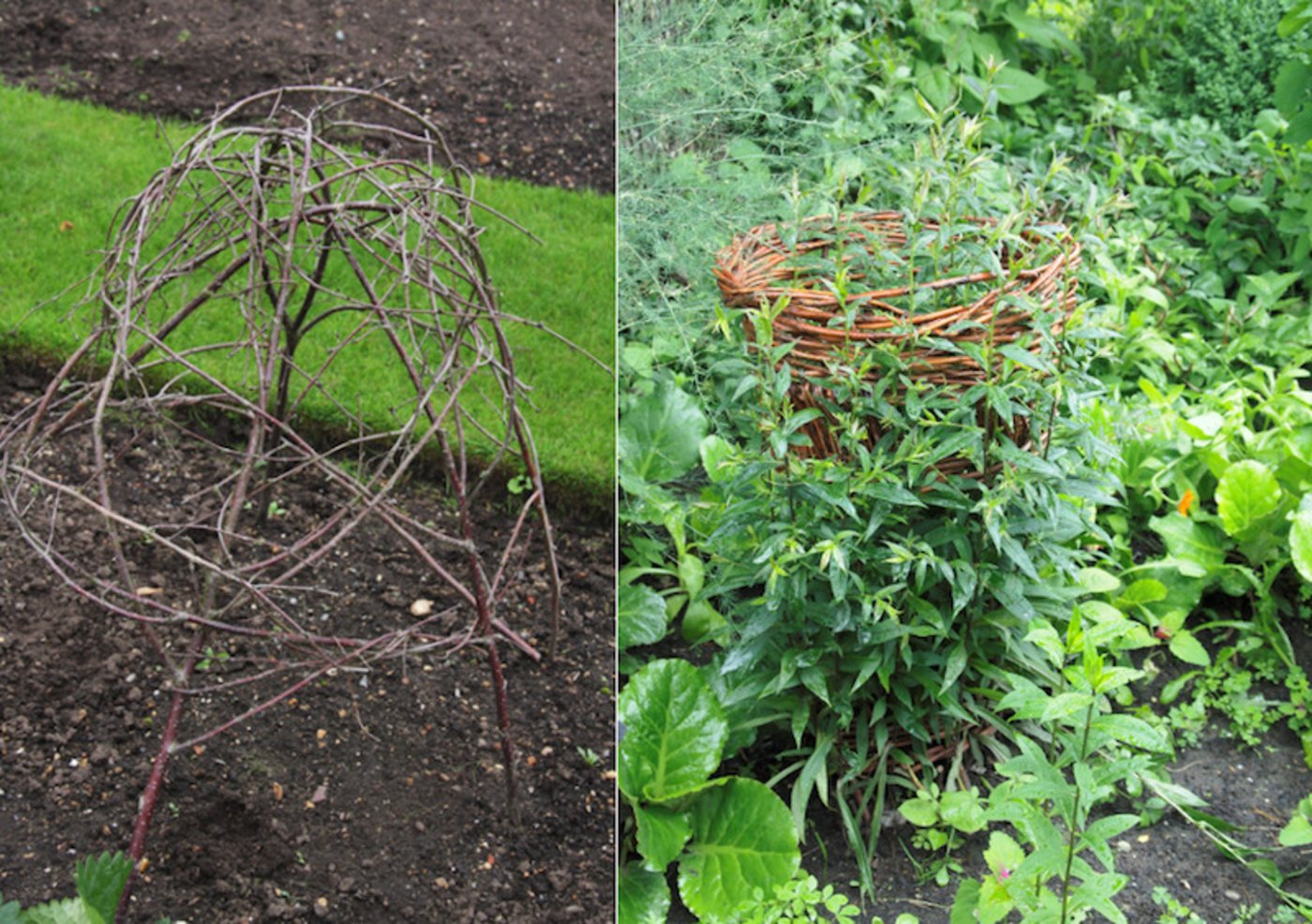 Stützhilfen lassen sich aus Birken- oder Haselzweigen sowie Weidegeflechten selber herstellen.