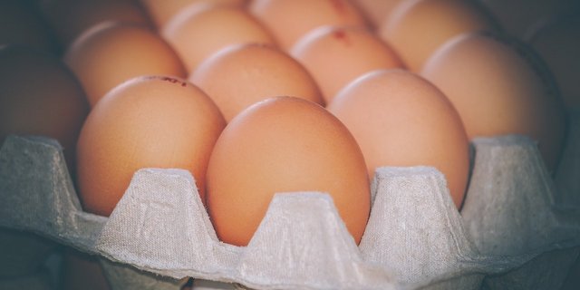 Die aktuell grosse Nachfrage nach Eiern und Milch soll mit mehr Teilzollkontingenten befriedigt werden – man könne die Schweizer Produktion schliesslich nicht so schnell umbauen. (Bild Pixabay)