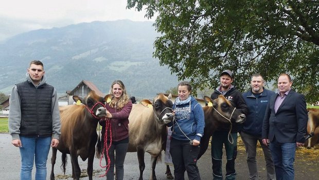 Die herrlichen Jersey-Sieger-Tiere mit den Besitzern, Experten und Ringman.