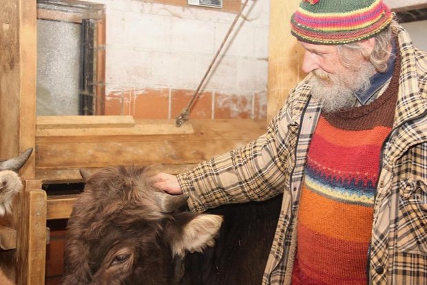 Armin Capaul kämpft für horntragende Kühe und Ziegen.  Die Enthornung verurteilt er als Verstümmelung der Tiere. (Bild cap)