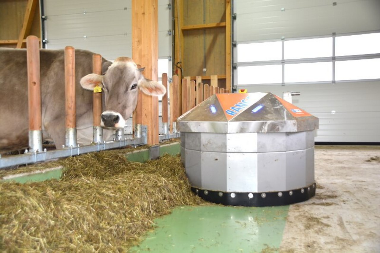 Auf den automatischen Zuschieber möchte der Betriebsleiter nicht mehr verzichten. Das Fressgitter ist aus Holz, ein System aus Österreich.