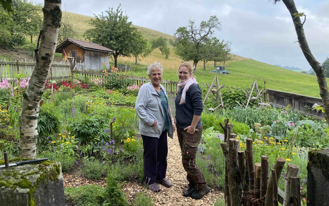 Seit dem Frühling 2021 arbeiten Marie Gerber und Anina Marbot zusammen im alten Bauerngarten. Im Frühling hat Marbot den kränkelnden Buchs durch Lavendel ersetzt. (Bilder jsc)