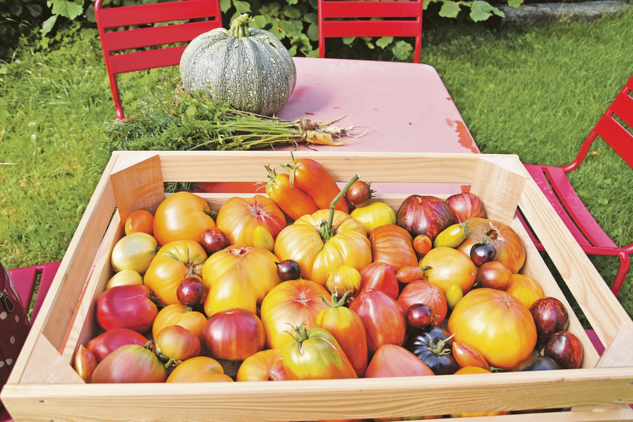 Eine bunte, faszinierende Vielfalt: In der Samensammlung von Gabriel Hess hat es rund 250 seltene Tomatensorten, die er in seinem Garten anbaut und vermehrt.