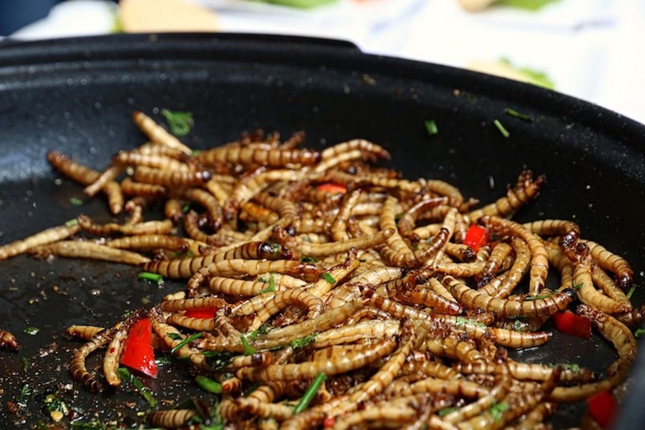Mehlwürmer sind in der Schweiz zur menschlichen Ernährung zugelassen. (Bild Pixabay)