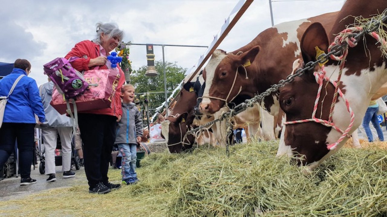 Die Besucher des 9. Solothurner Chäs-Tag freuten sich über die Landwirtschaft in der Stadt. (Bild Solothurner Bauernverband)