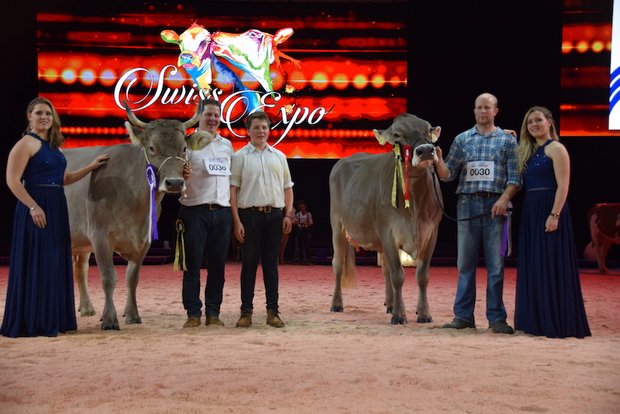 Grand Champion OB: Voran Tamara (links) von Paul Korrodi aus Schönenberg LU und die Reserve Buchers Valido Livia von Thoams Bucher aus Neuenkirch LU. Bei der Schöneuterwahl tauschten diese beiden Kühe die Plätze. (Bild jsb) 