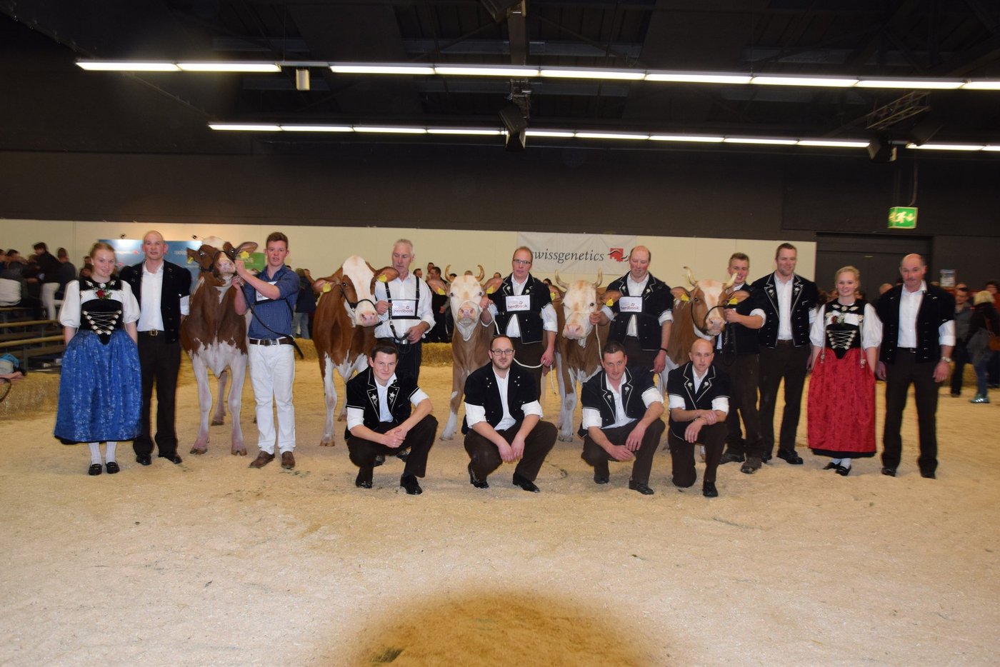 Die Siegertiere der älteren Klassen (v. l. n. r.). Siegerin Red Holstein: Mattenhof Armani Sayuri, Gobeli Holstein, Saanen; RH-Schöneutersiegerin: Cyrano Dafnee, Anton Ryter, Kandergrund; Simmentaler-Champion: Clemens Wachtel, Hansueli Brügger, Frutigen; Simmentaler-Schöneuter: Unic Linda, Martin Schärz, Hondrich und die Swiss Fleckvieh-Siegerkuh PerrenSenggi Pierolet Suleika von Urs und Andrea Perren, St. Stephan.