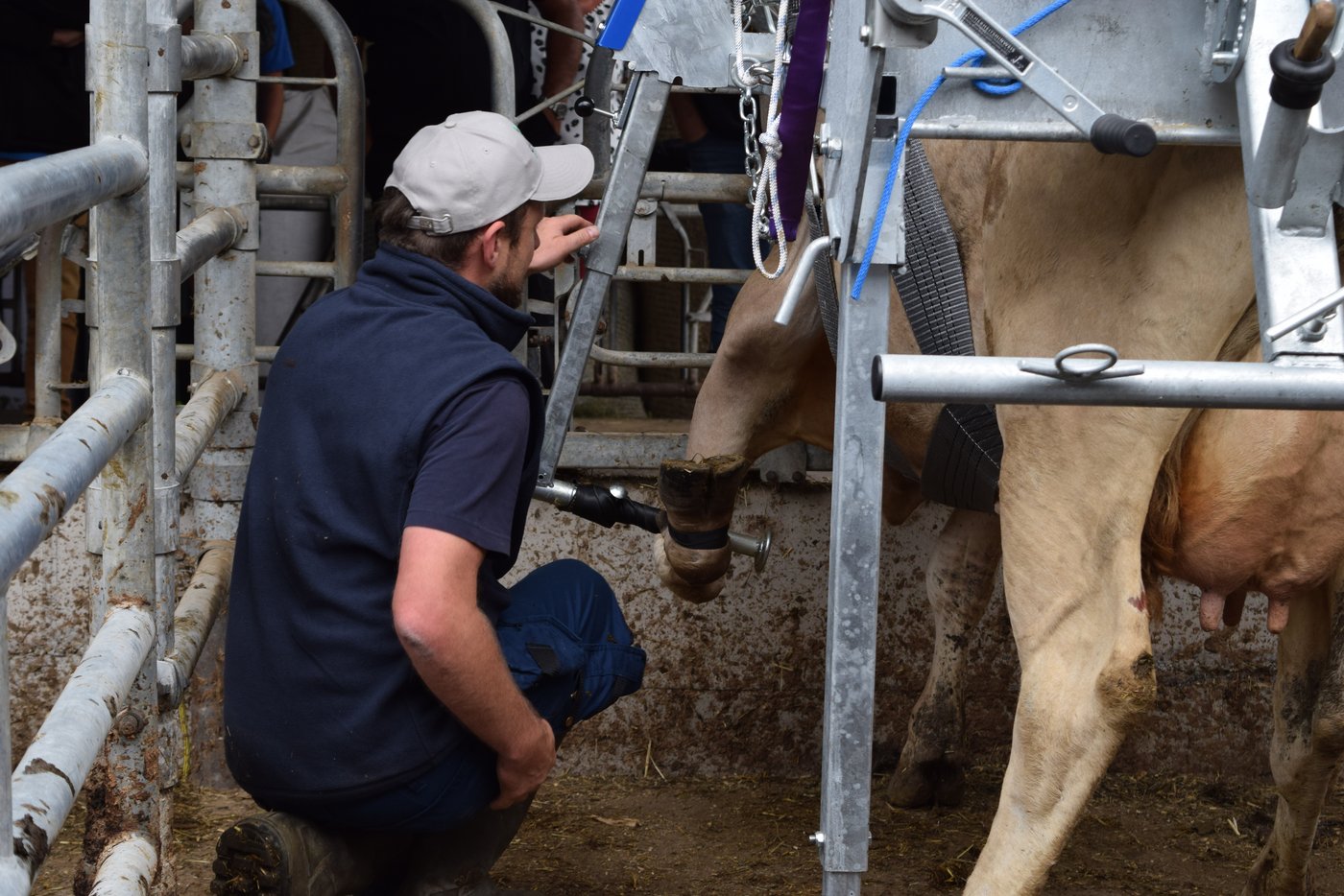 Der vordere Bügel ist seitlich ausschwenkbar.