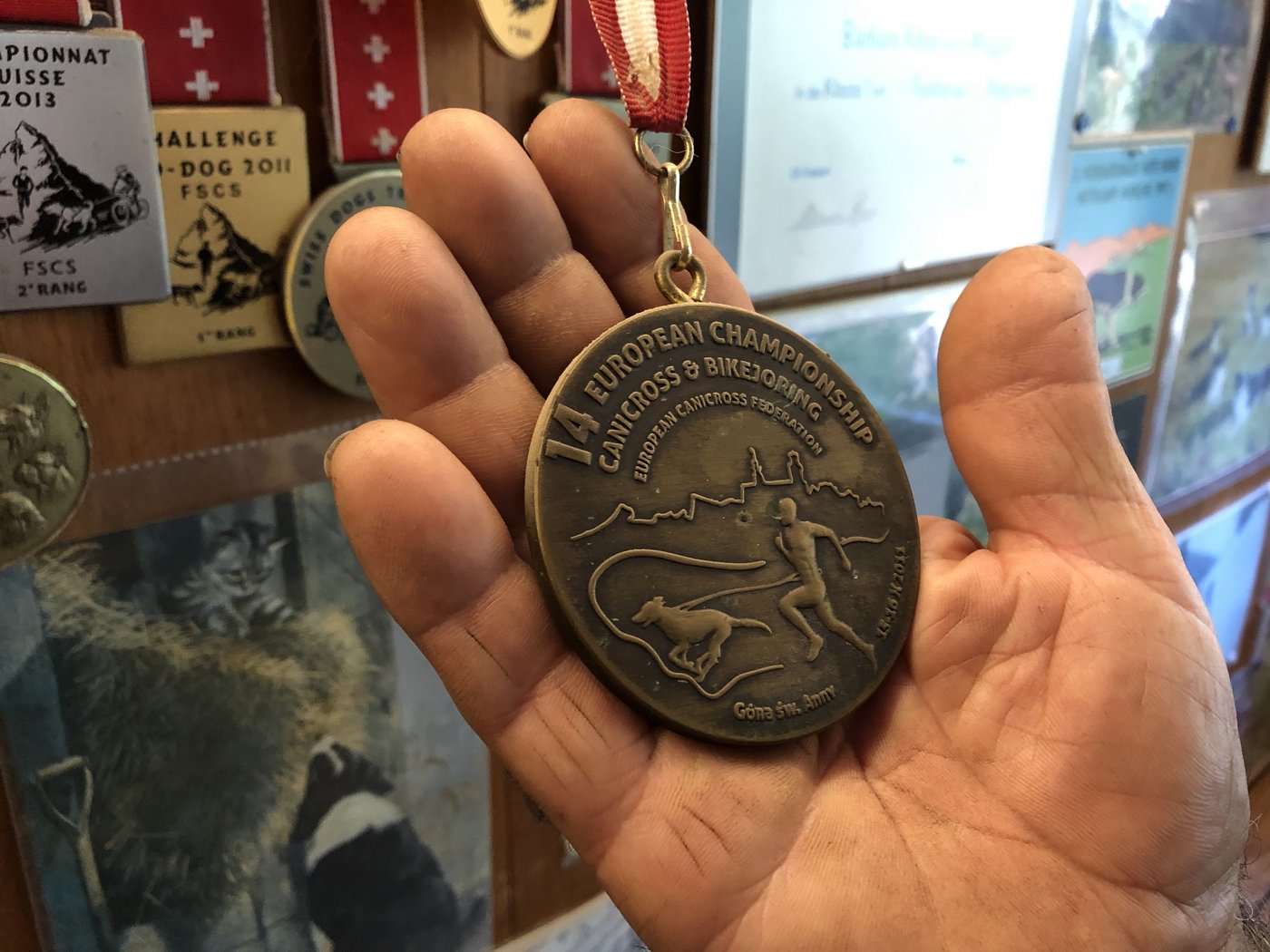 Zahlreiche Erfolge konnten sowohl Barbara and auch Beat Käser im Zughundesport bereits verzeichnen. (Bild lmc)