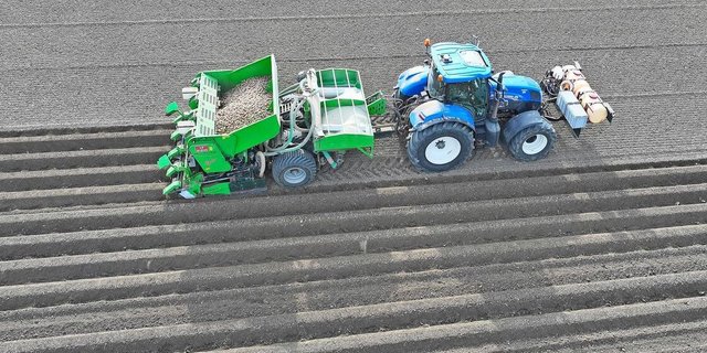 2026 wurden 55 Hektaren weniger Frühkartoffeln gepflanzt, weil in den Lagern noch 33'000 Tonnen Speisekartoffeln aus der Vorjahresernte liegen. 