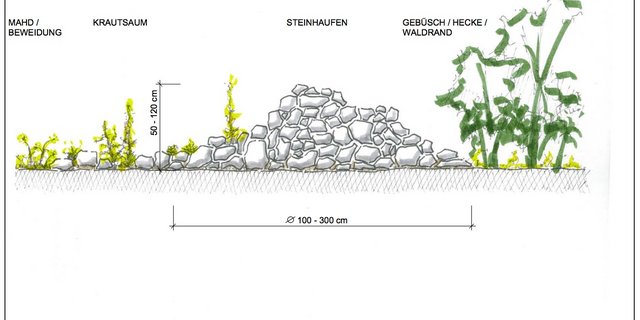 Die einfachste Variante eines Steinhaufens. Sträucher sollten nur auf der Nordseite stehen gelassen werden, damit der Haufen nicht beschattet wird. (Bild Karch)