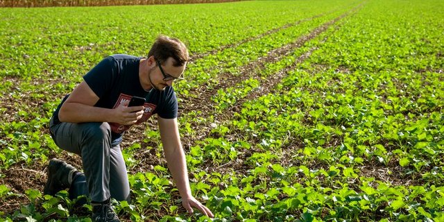 Mit der App soll die Arbeit auf dem Feld vereinfacht werden. (Bild Barto)