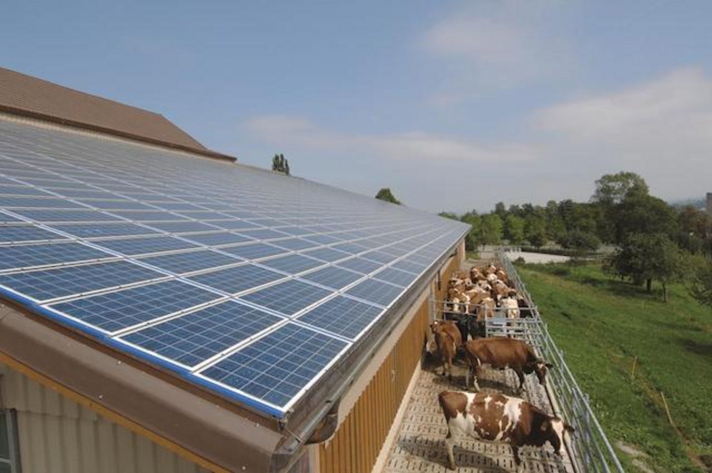 Ganzflächige Photovoltaik-Anlagen auf landwirtschaftlichen Betrieben sollen die Schweiz der Energiewende einen Schritt näher bringen. Das Bild von einem Betrieb in Barberêche FR zeigt, wie dies aussehen könnte. (Bild Solar Agentur Schweiz, Schweizer Solarpreis 2006)