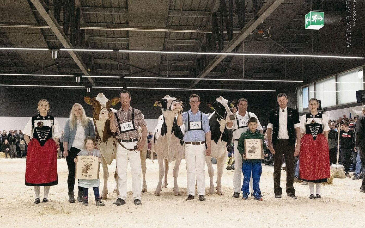 Die Missen der Holstein/Red Holstein: Stockhorns Power Ulme von Urs und Andreas Brügger (links), Gobelis Jackpot Paige, Gobeli Holstein (Mitte) und Aegerters Chief Lissia von Hansueli Aegerter.