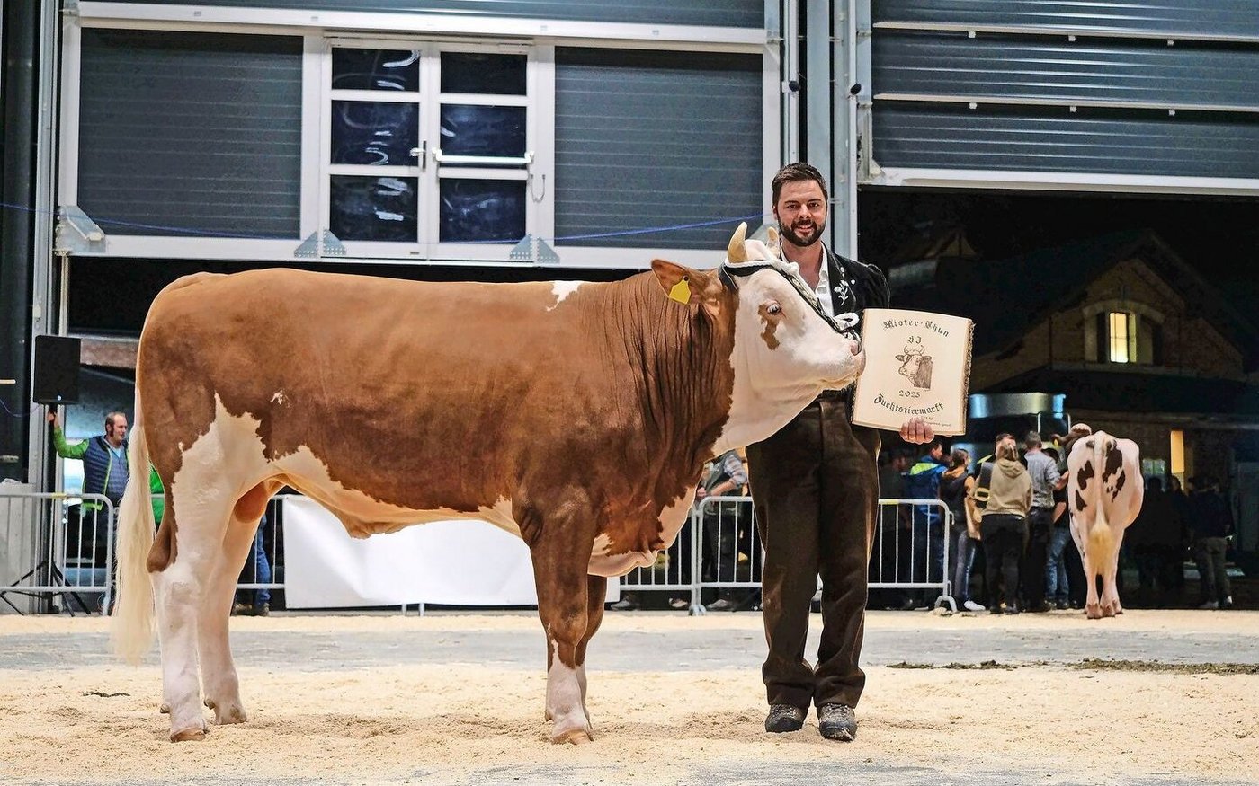 Der Mister Simmental heisst Milano Karat (44 90), Erwin Brügger-Studer, Wasen im Emmental.
