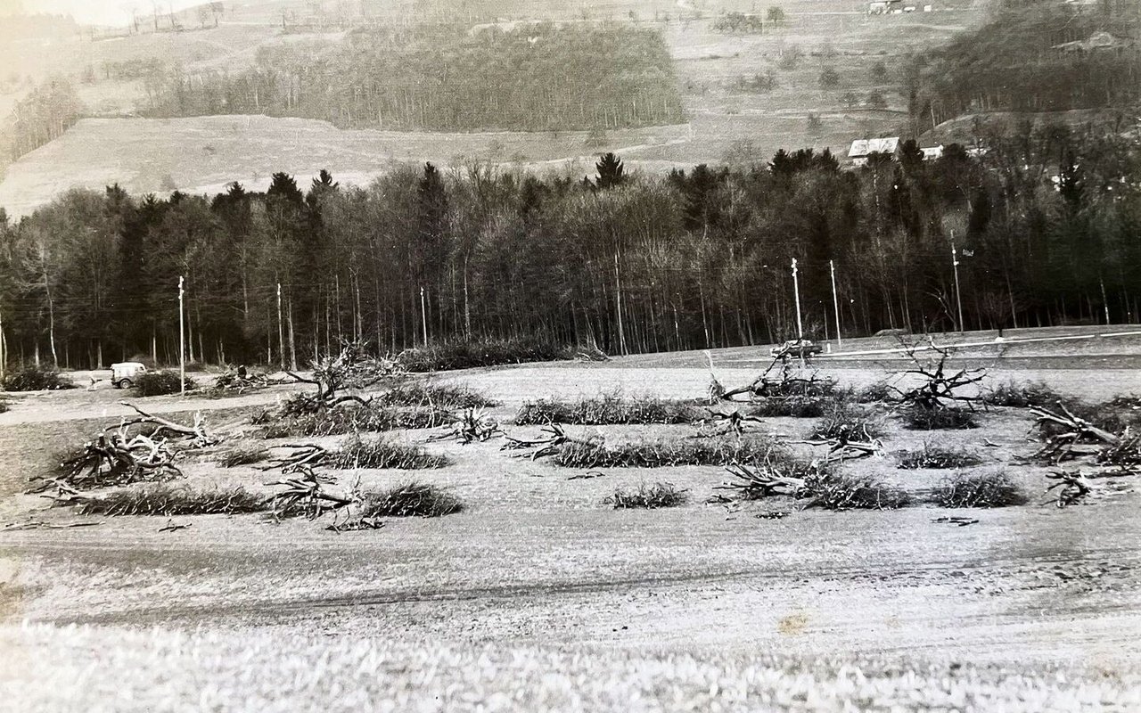 Rodungsaktion in den 1960er-Jahren in Winikon, unterstützt mit Bundesgeldern: Keine schöne Aufgabe für die Baumpfleger.