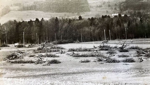 Rodungsaktion in den 1960er-Jahren in Winikon, unterstützt mit Bundesgeldern: Keine schöne Aufgabe für die Baumpfleger.