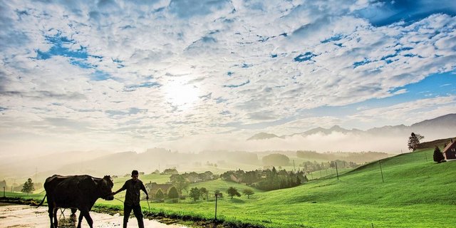 Er beim Vieh und sie im Hofladen: Die Arbeitsteilung ermöglicht es einem Ehepaar, auf die jeweiligen Stärken zu setzen und eigene Ideen selbstständiger umzusetzen.