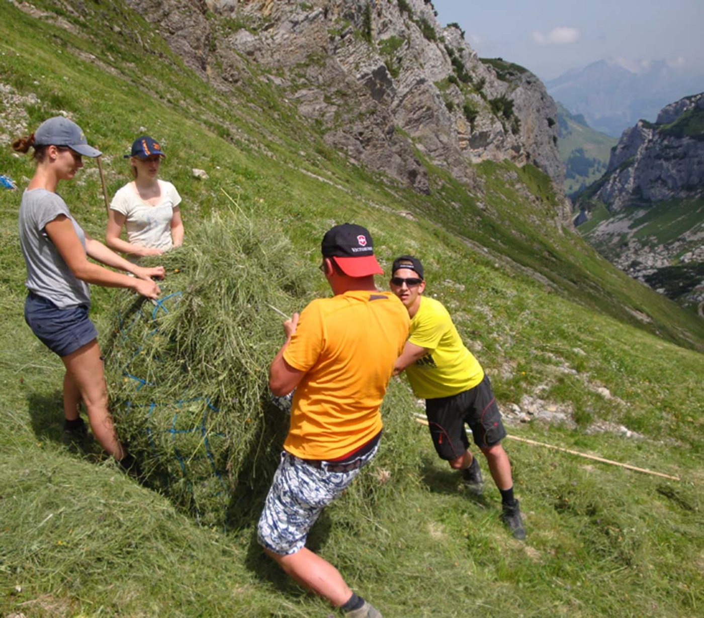 Nicht nur auf der Alp zahlt sich Zusammenarbeit aus. (Bild: lid)