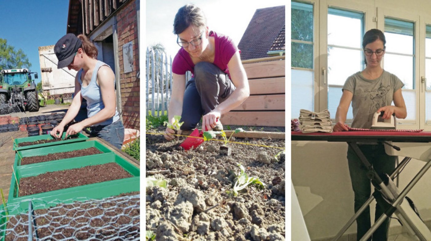 Ob im Garten, beim Pikieren oder beim Bügeln: Hauspflegerin Judith Wick kennt das vielfältige Arbeitsfeld der Bäuerinnen. Doch es braucht bei jedem Einsatz viel Fingerspitzengefühl. (Bilder Judith Wick)