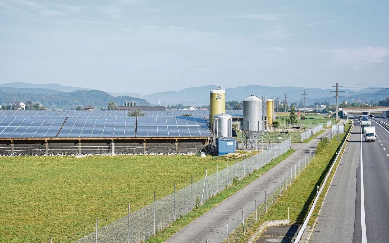 Die grossen Solaranlagen liefern genügend Strom für den Betrieb der Hallen und das Pelletieren. 