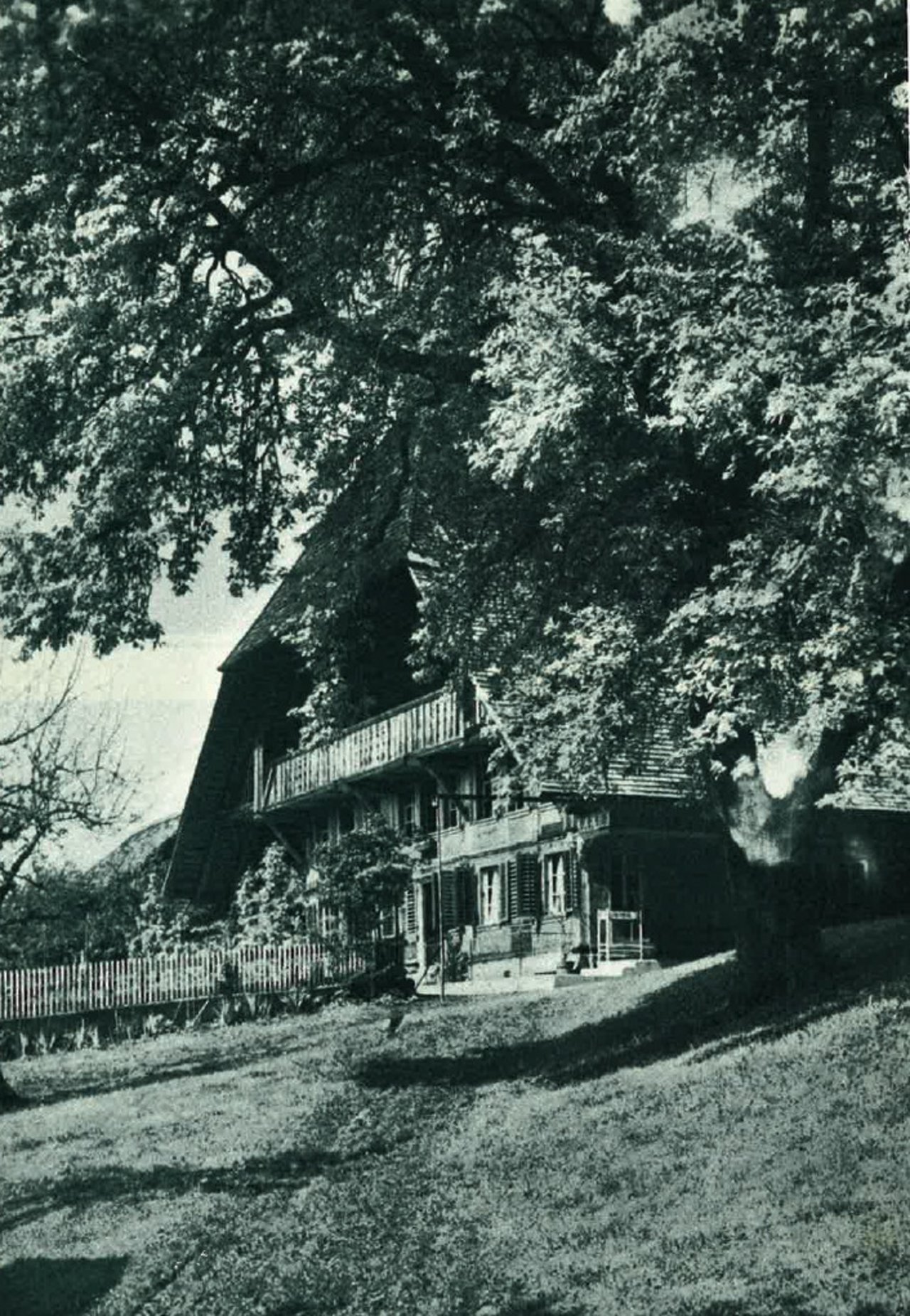 Das gigantische Dach ist typisch für die Berner Bauernhäuser, hier das Haus "Birnbaum". (Bild Schweizerischer Bauernverband)