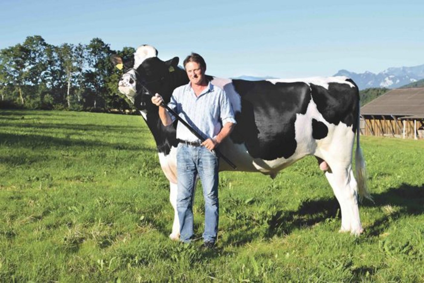 Mazot de Cremo hat einen ruhigen Charkter. (Bild joy)