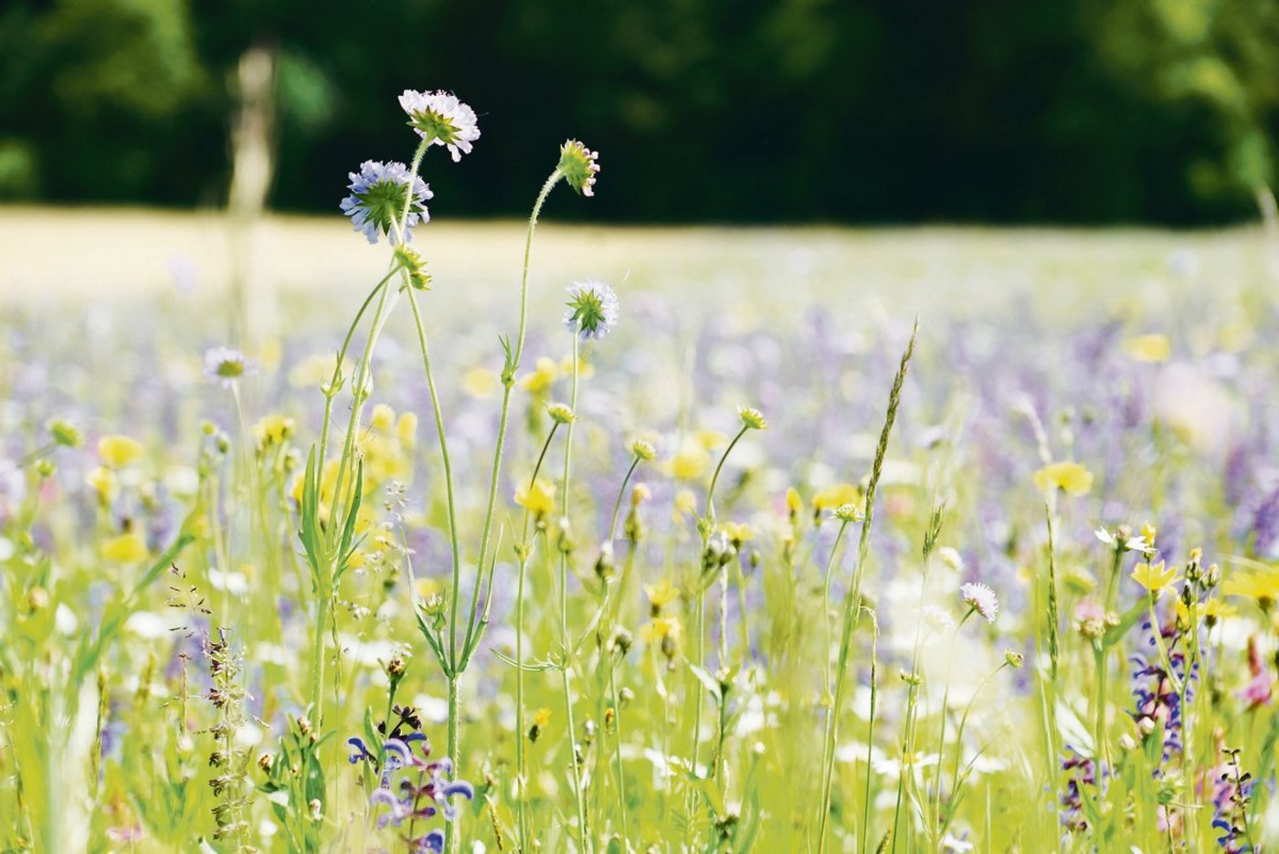 Mit dem Boden soll schonend umgegangen werden. (Symbolbild rae) 