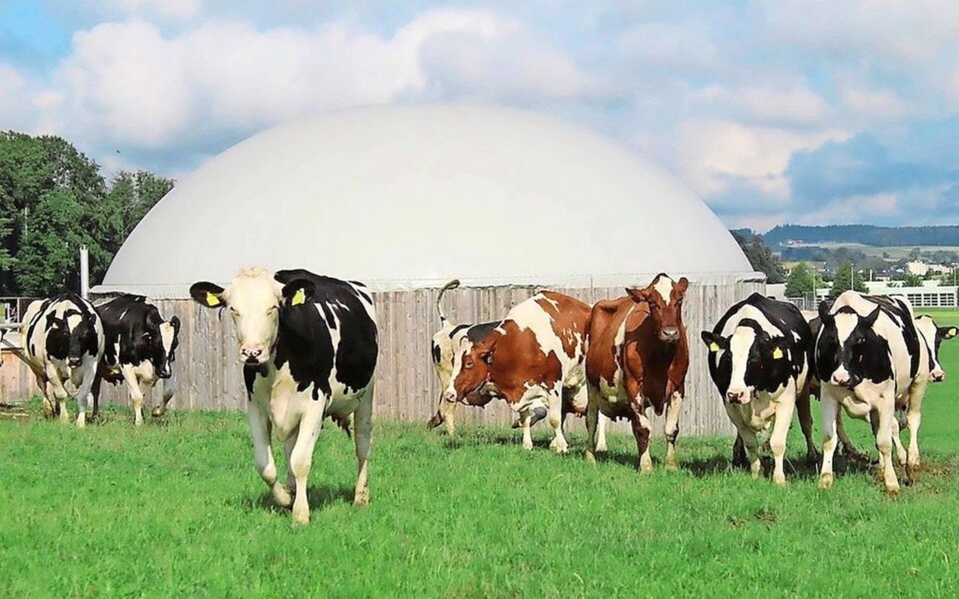 Biogas aus Hofdünger wird wirtschaftlich interessant. Auf dem Markt gibt es Systeme für Kleinanlagen. 