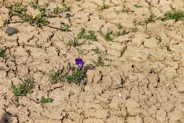 Die Trockenheit des letzten Jahres ist noch nicht ausgestanden: gerade im Mittelland sind die Grundwasserpegel tief. (Bild Pixabay)