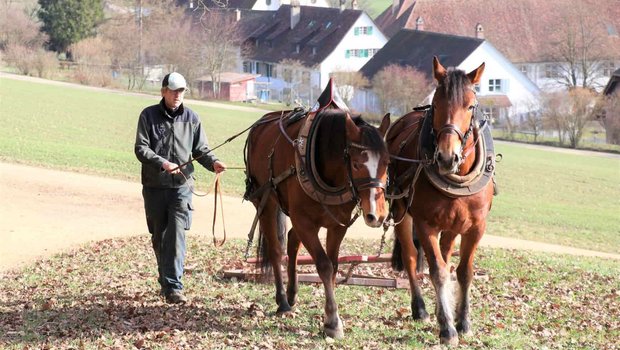 Ernst Rytz und seine beiden Freibergerpferde machen einen Grasstreifen fit für den Frühling. (Bild Ruth Aerni)