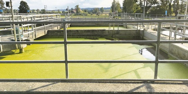 40 000 t Stickstoff verlassen das Ernährungssystem jedes Jahr via Kläranlagen. 