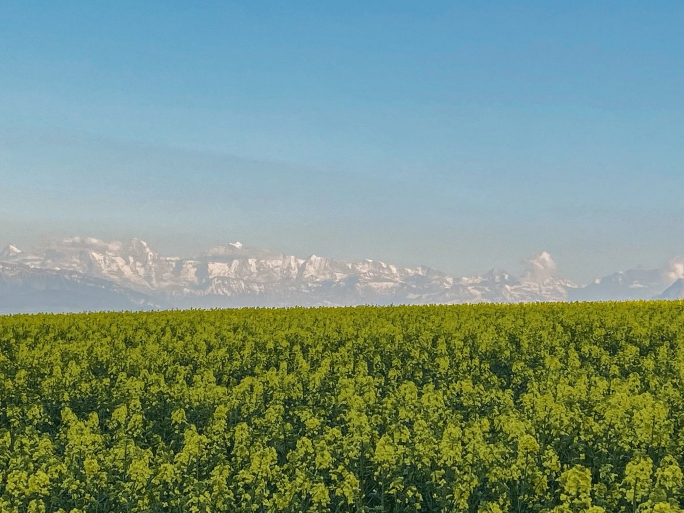Blauer Himmel und Bise: Von Mitte März bis 23. April folgte ein Hoch dem nächsten, dazwischen gab es nur einzelne Tage, an denen der Luftdruck etwas sank und sich über dem Jura oder den Alpen durch die Thermik einzelne Regenzellen bilden konnten.(Bild akr)
