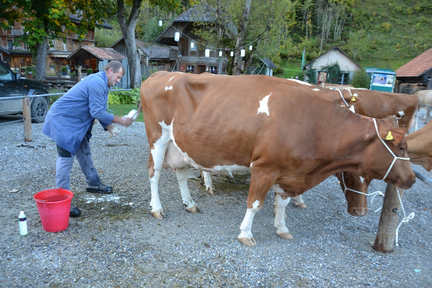 Fritz Bürki legt selber noch Hand an.